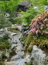 上海老姐姐的拍照聖地——申園
