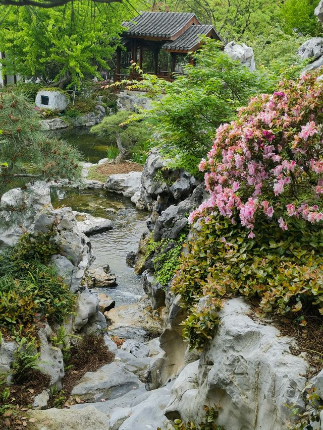 上海老姐姐的拍照聖地——申園