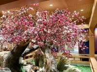 奎屯：帝錨·熱島樂園，遛娃好去處
