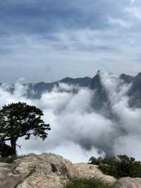 華山旅遊