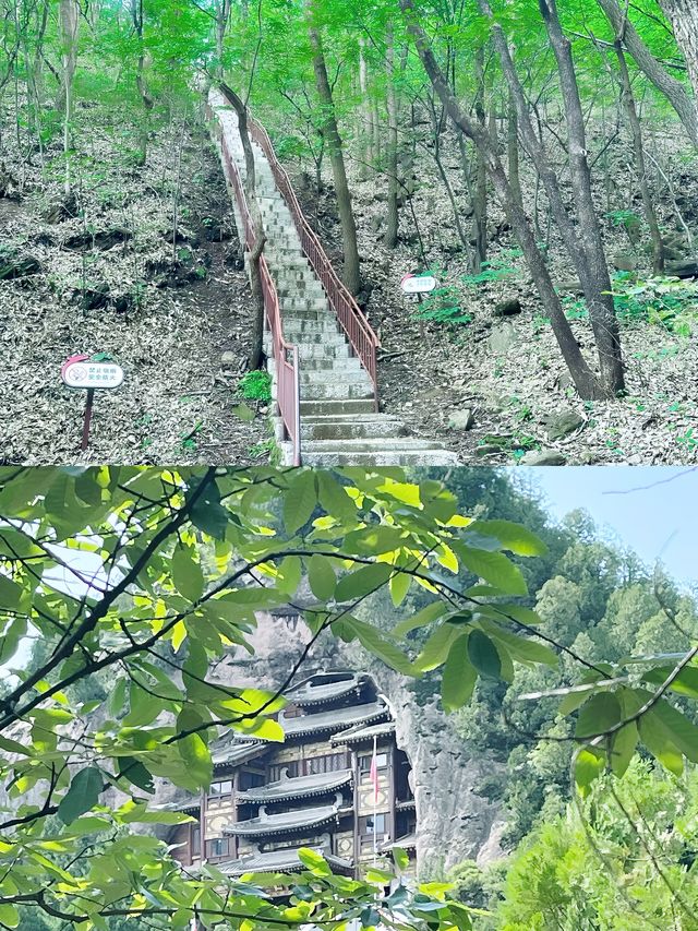 九龍山|玻璃棧道驚險刺激