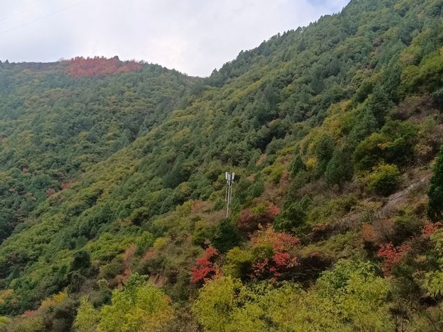 秦嶺好個秋——靈官峽