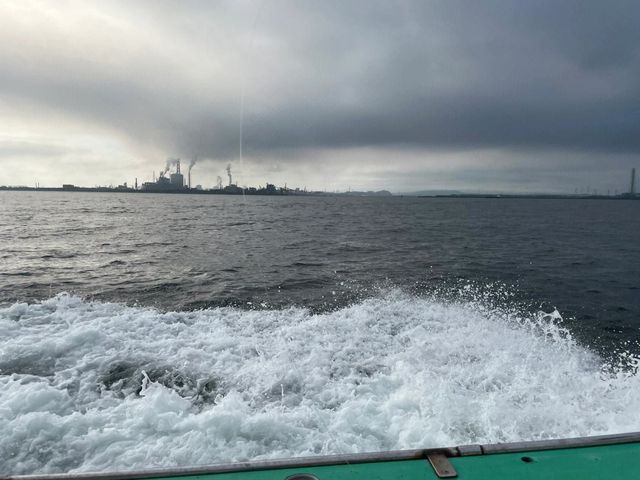 陵水富力灣|不過百就能實現帆船出海