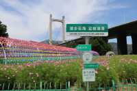 花海公園，攝影愛好者的福地