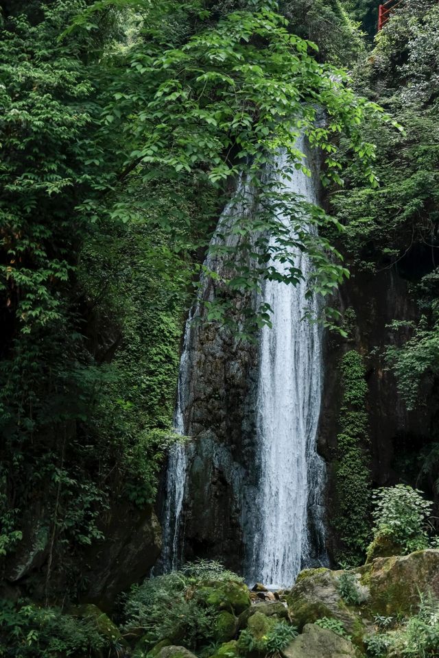 宜昌冷門寶藏打卡地：三峽九鳳谷，一個有很多瀑布的地方