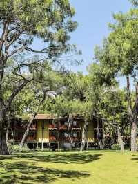 ๐ Camyuva's Cozy Hideaway: Robinson's Adult-Only Bliss ๐