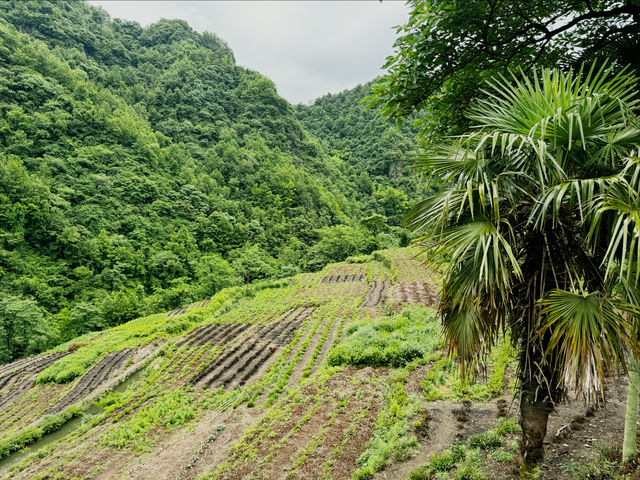 徒步安山古道，撞進十九峰風景裡～