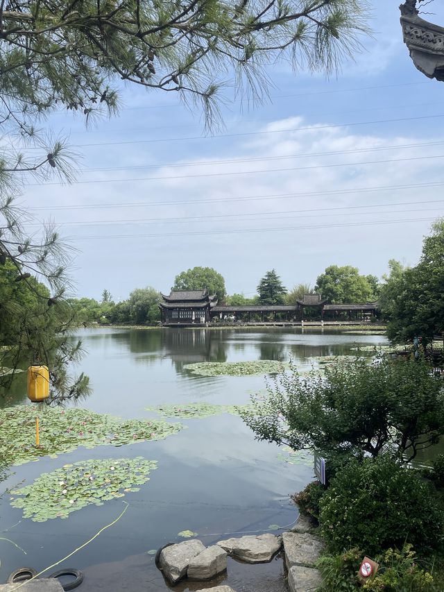 銅陵之行