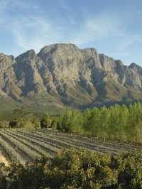 🌟 Luxe Sleeps in Stellenbosch Vineyards 🍇