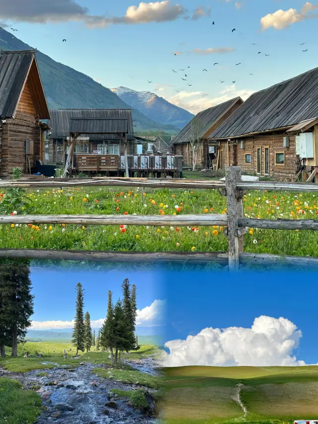 June Snapshot! The summer in Xinjiang is so beautiful it's divine