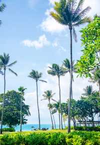 泰國 | 在蘇梅島住到了人生酒店，出門就是海景