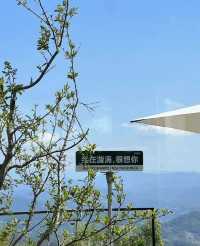 這家寶藏民宿都不捨得退房