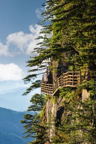誰說只有廬山能避暑是時候來趟明月山了…