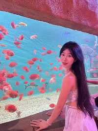“闖入金魚夢境𓆡𓆝𓆟𓆜”東莞海洋館好好拍…