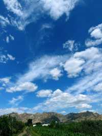 夏日的包頭土默特右旗大雁灘景區，瓜果飄香，風景如詩如畫