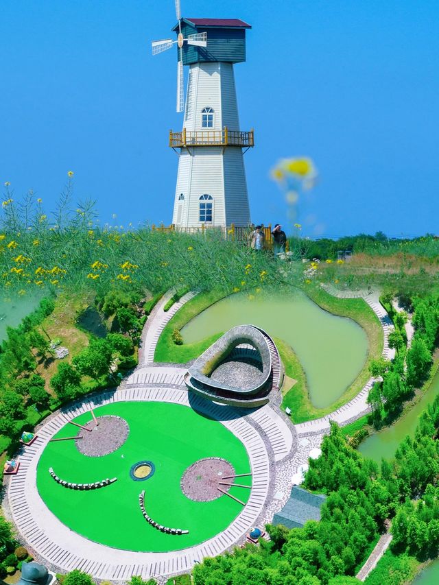走進白馬湖：體驗濕地公園的寧靜