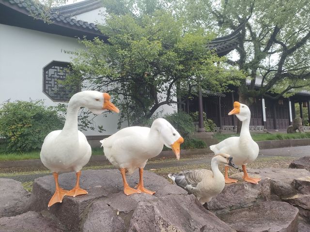 台州府城遊玩攻略！