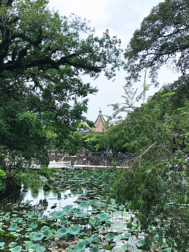 潮州必去景點之一的潮州西湖攻略來啦