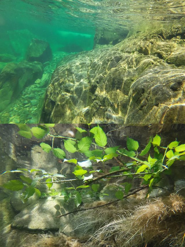 廣東人夏天玩水避暑好去處！森林礦泉水池。