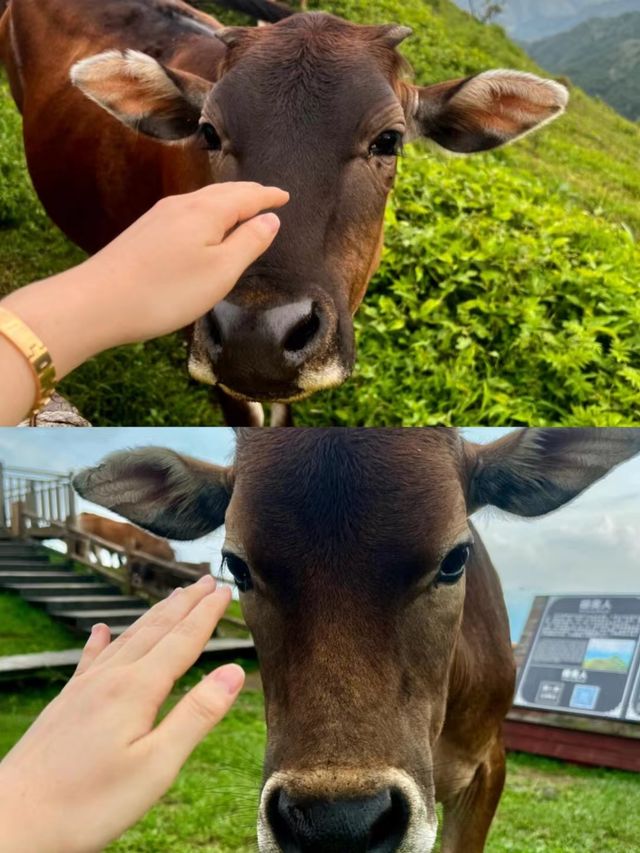 每逢星期一▲闖進廣西版的那拉提。
