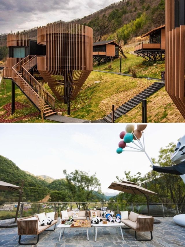 國慶小長假，陝西佛坪開啟一場森系度假之旅。