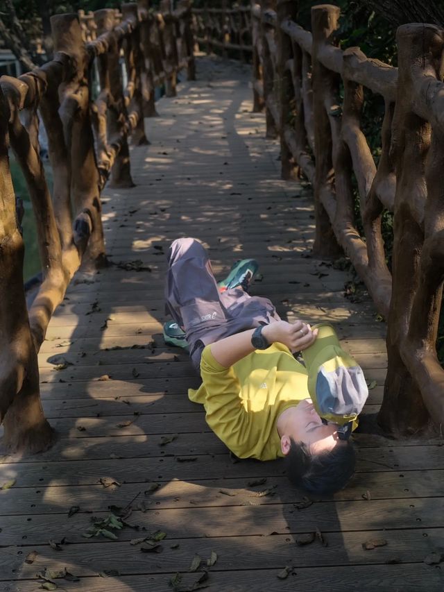 秋天就係要去登封遊覽郑州。