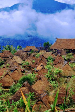 The last primitive tribe in China.