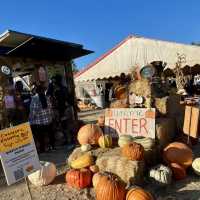 Spooky Halloween Attractions In the Haunted house