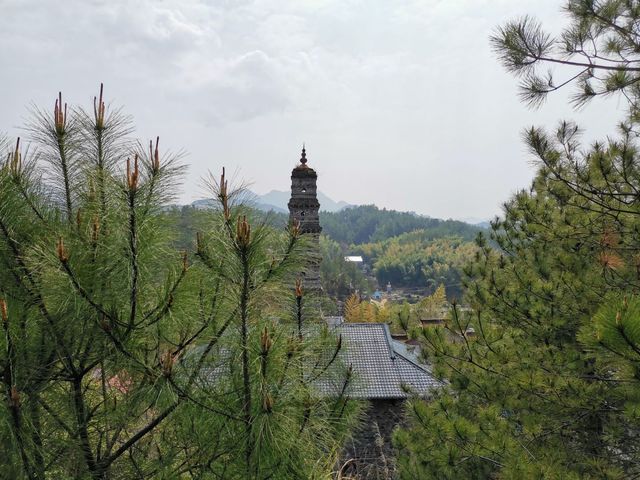 法雲寺。