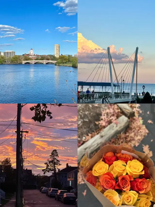 If you are lucky enough to live in Boston when you are young, it will be with you wherever you are.