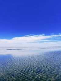 烏梁素海，一個令人流連忘返的仙境！。