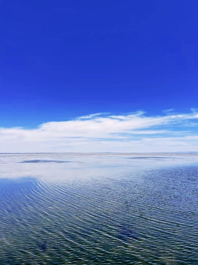 烏梁素海，一個令人流連忘返的仙境！。