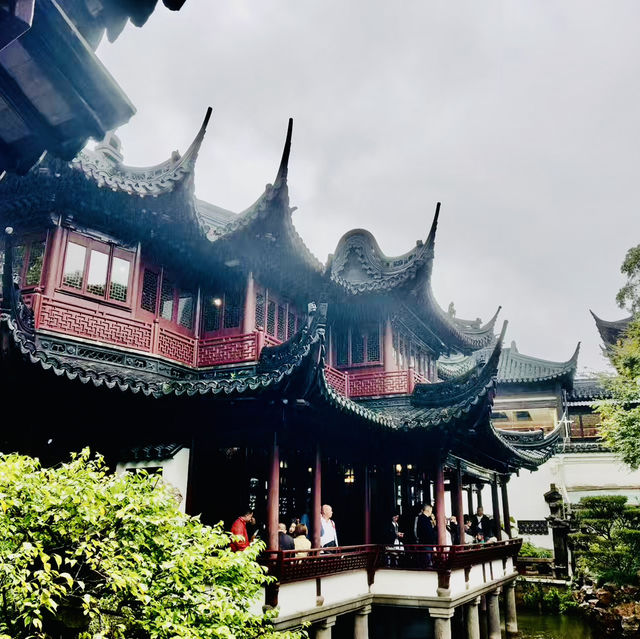 打卡上海海上名園@豫園