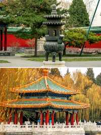 北京賞秋｜北海公園觀賞銀杏遊玩攻略。