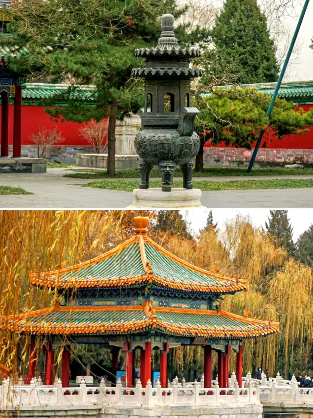 베이징 가을 감상|베이하이 공원 은행나무 관람 여행 가이드