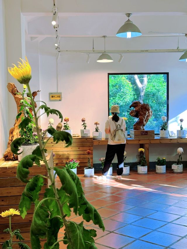速看！中山公園菊花展遊玩攻略。