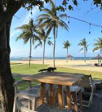 巴厘島| Club Med度假村，樂享海島假期   酒店：Club Med巴厘島度假村  。