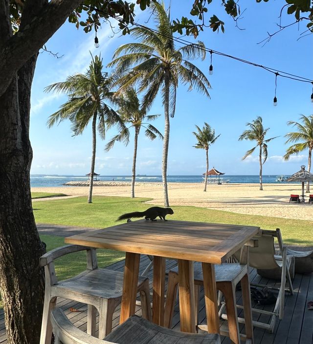 巴厘島| Club Med度假村，樂享海島假期   酒店：Club Med巴厘島度假村  。