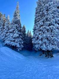 【鷹溝雪景】冬日仙境，美不勝收！