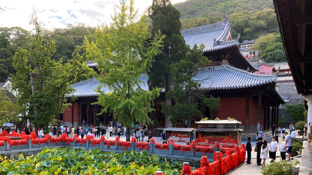 禪之行｜當陽玉泉寺。