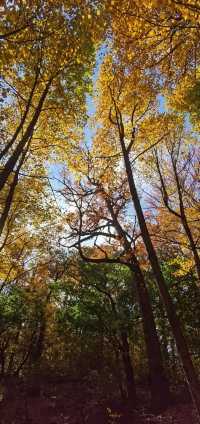 Autumn in a fairy tale! New York · Prospect Park!! 