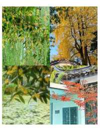 成都好逛的百花潭公園｜山水園林和城市錦繡的寫意。