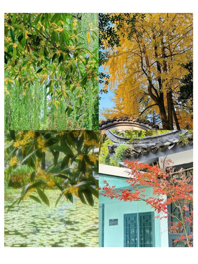成都好逛的百花潭公園｜山水園林和城市錦繡的寫意。