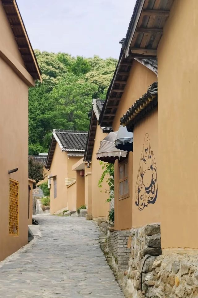 田鋪大灣攻略。