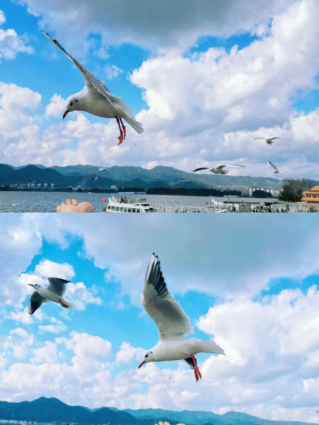 在昆明 | 這是一個很棒的景點，性價比很高。