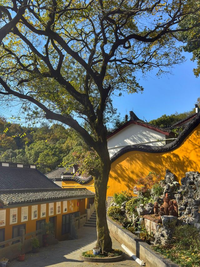 抱樸道院（手機攝影原創）。