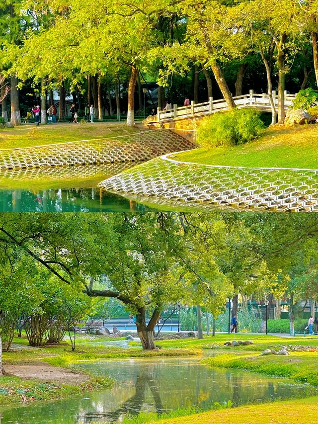 不在京都！就在武漢這個公園已經美到失語。