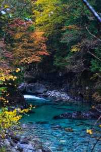 長野｜長野小溯溪聖地：阿寺溪谷。