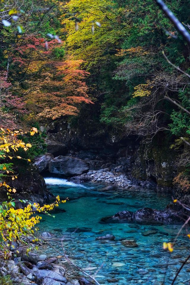 長野｜長野小溯溪聖地：阿寺溪谷。