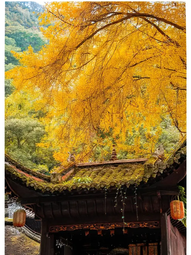 4-day itinerary for the China Sky Eye Science Base and more.